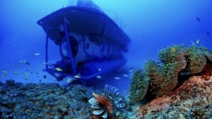 Blue Safari Submarine