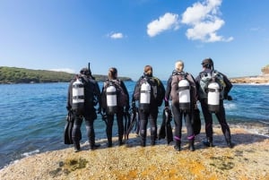 Blue World Explorer Adventures :PadiOpenWaterDiverCourse (cours de plongée en eau libre)