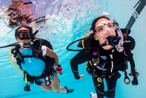 Blue World Explorer Adventures :PadiOpenWaterDiverCourse (cours de plongée en eau libre)