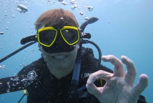 Blue World Explorer Adventures :PadiOpenWaterDiverCourse (cours de plongée en eau libre)