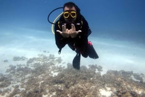 Blue World Explorer Adventures :PadiOpenWaterDiverCourse (cours de plongée en eau libre)