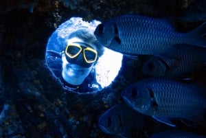 Blue World Explorer Adventures :PadiOpenWaterDiverCourse (cours de plongée en eau libre)