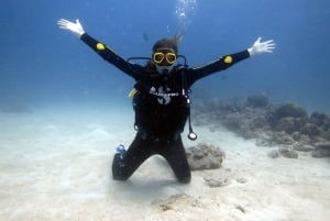 Blue World Explorer Adventures :PadiOpenWaterDiverCourse (cours de plongée en eau libre)