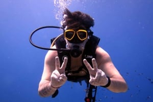 Blue World Explorer Adventures :PadiOpenWaterDiverCourse (cours de plongée en eau libre)