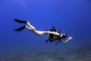 Blue World Explorer Adventures :PadiOpenWaterDiverCourse (cours de plongée en eau libre)