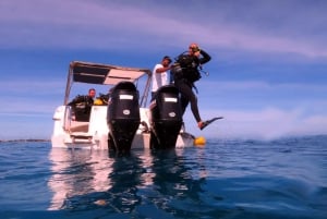 Blue World Explorer Adventures :PadiOpenWaterDiverCourse (cours de plongée en eau libre)