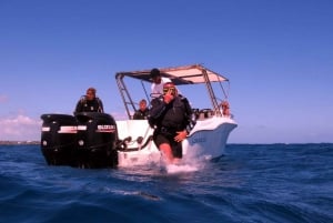 Blue World Explorer Adventures :PadiOpenWaterDiverCourse (cours de plongée en eau libre)