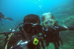 Blue World Explorer Adventures :PadiOpenWaterDiverCourse (cours de plongée en eau libre)