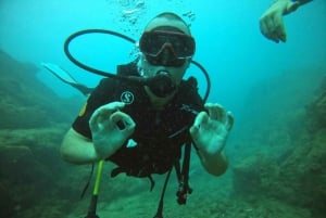 Blue World Explorer Adventures :PadiOpenWaterDiverCourse (cours de plongée en eau libre)