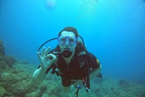 Blue World Explorer Adventures :PadiOpenWaterDiverCourse (cours de plongée en eau libre)