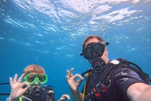 Blue World Explorer Adventures :PadiOpenWaterDiverCourse (cours de plongée en eau libre)