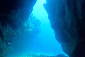 Blue World Explorer Adventures :PadiOpenWaterDiverCourse (cours de plongée en eau libre)