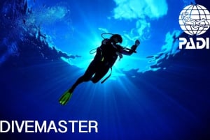 Blue World Explorer Adventures :PadiOpenWaterDiverCourse (cours de plongée en eau libre)