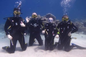 Blue World Explorer Adventures :PadiOpenWaterDiverCourse (cours de plongée en eau libre)