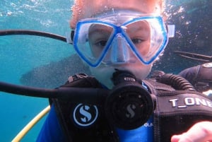 Blue World Explorer Adventures :PadiOpenWaterDiverCourse (cours de plongée en eau libre)