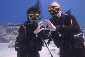 Blue World Explorer Adventures :PadiOpenWaterDiverCourse (cours de plongée en eau libre)