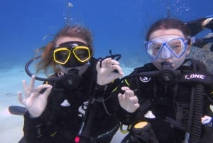 Blue World Explorer Adventures :PadiOpenWaterDiverCourse (cours de plongée en eau libre)