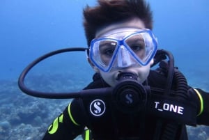 Blue World Explorer Adventures :PadiOpenWaterDiverCourse (cours de plongée en eau libre)