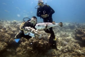 Blue World Explorer Adventures :PadiOpenWaterDiverCourse (cours de plongée en eau libre)