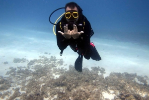 Blue World Explorer Adventures :PadiOpenWaterDiverCourse (cours de plongée en eau libre)