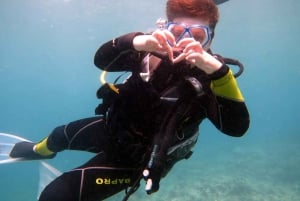 Blue World Explorer Adventures :PadiOpenWaterDiverCourse (cours de plongée en eau libre)