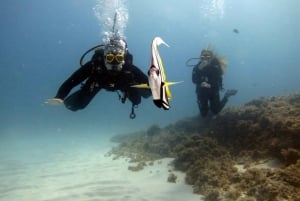 Blue World Explorer Adventures :PadiOpenWaterDiverCourse (cours de plongée en eau libre)