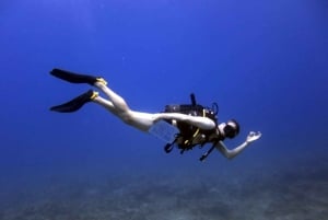 Blue World Explorer Adventures :PadiOpenWaterDiverCourse (cours de plongée en eau libre)