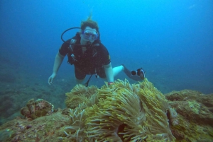 Blue World Explorer Adventures :PadiOpenWaterDiverCourse (cours de plongée en eau libre)