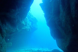 Blue World Explorer Adventures :PadiOpenWaterDiverCourse (cours de plongée en eau libre)