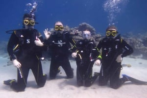 Blue World Explorer Adventures :PadiOpenWaterDiverCourse (cours de plongée en eau libre)