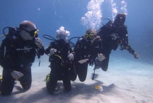 Blue World Explorer Adventures :PadiOpenWaterDiverCourse (cours de plongée en eau libre)