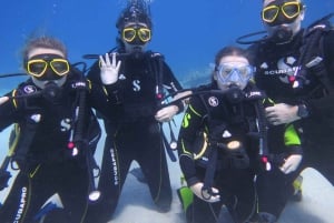 Blue World Explorer Adventures :PadiOpenWaterDiverCourse (cours de plongée en eau libre)