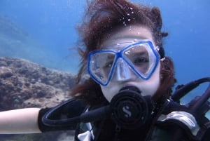 Blue World Explorer Adventures :PadiOpenWaterDiverCourse (cours de plongée en eau libre)