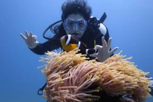 Blue World Explorer Adventures :PadiOpenWaterDiverCourse (cours de plongée en eau libre)