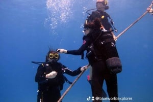 Blue World Explorer Adventures :PadiOpenWaterDiverCourse (cours de plongée en eau libre)