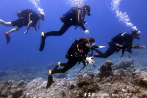 Blue World Explorer Adventures :PadiOpenWaterDiverCourse (cours de plongée en eau libre)