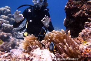 Blue World Explorer Adventures :PadiOpenWaterDiverCourse (cours de plongée en eau libre)