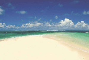 Catamaran Cruise to Ile Aux Cerfs with Lunch & Drinks