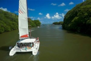 Catamaran cruise to Ile aux Cerfs from Pointe Jerome