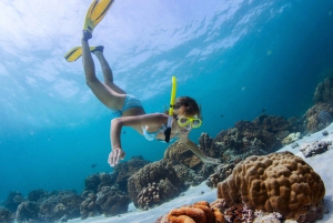 Catamaran cruise to Ile aux Cerfs from Pointe Jerome