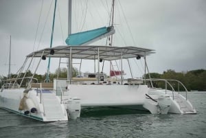 Catamaran Cruise to Ile aux Cerfs & GRSE Waterfall