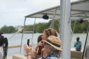 Catamaran Cruise to Ile aux Cerfs & GRSE Waterfall