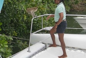 Catamaran Cruise to Ile aux Cerfs & GRSE Waterfall