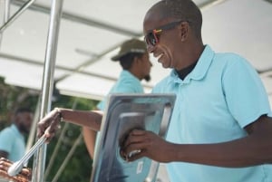 Catamaran Cruise to Ile aux Cerfs & GRSE Waterfall