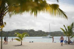Catamaran Cruise to Ile aux Cerfs & GRSE Waterfall
