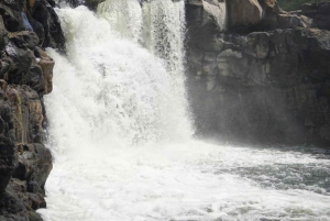 Catamaran Cruise to Ile aux Cerfs & GRSE Waterfall