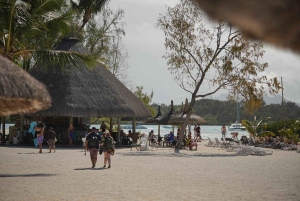 Catamaran Cruise to Ile aux Cerfs & GRSE Waterfall