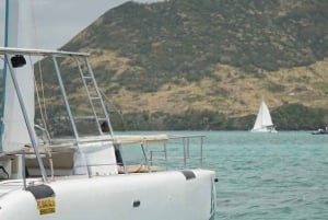 Catamaran Cruise to Ile aux Cerfs & GRSE Waterfall