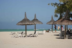 Catamaran Cruise to Ile aux Cerfs & GRSE Waterfall