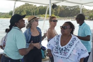 Catamaran Cruise to Ile aux Cerfs & GRSE Waterfall